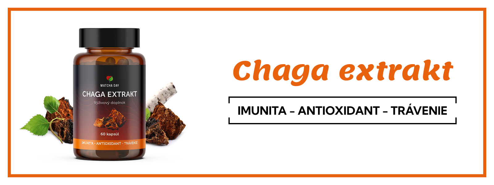 Chaga